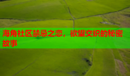 海角社区禁忌之恋，欲望交织的秘密故事