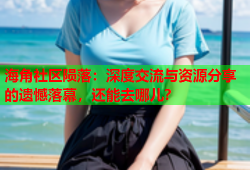 海角社区陨落：深度交流与资源分享的遗憾落幕，还能去哪儿？